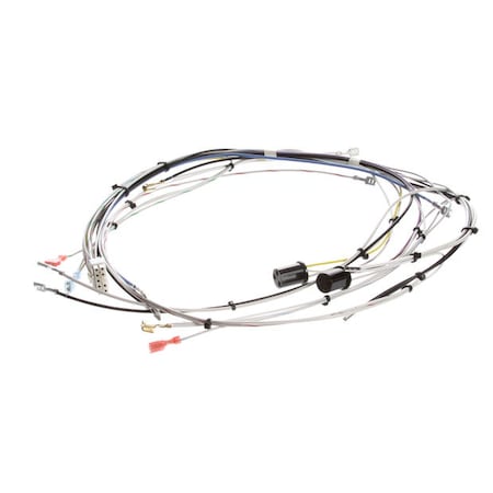 Bunn Main-Cdbc 120 Volt Wiring Harness 29072.0000